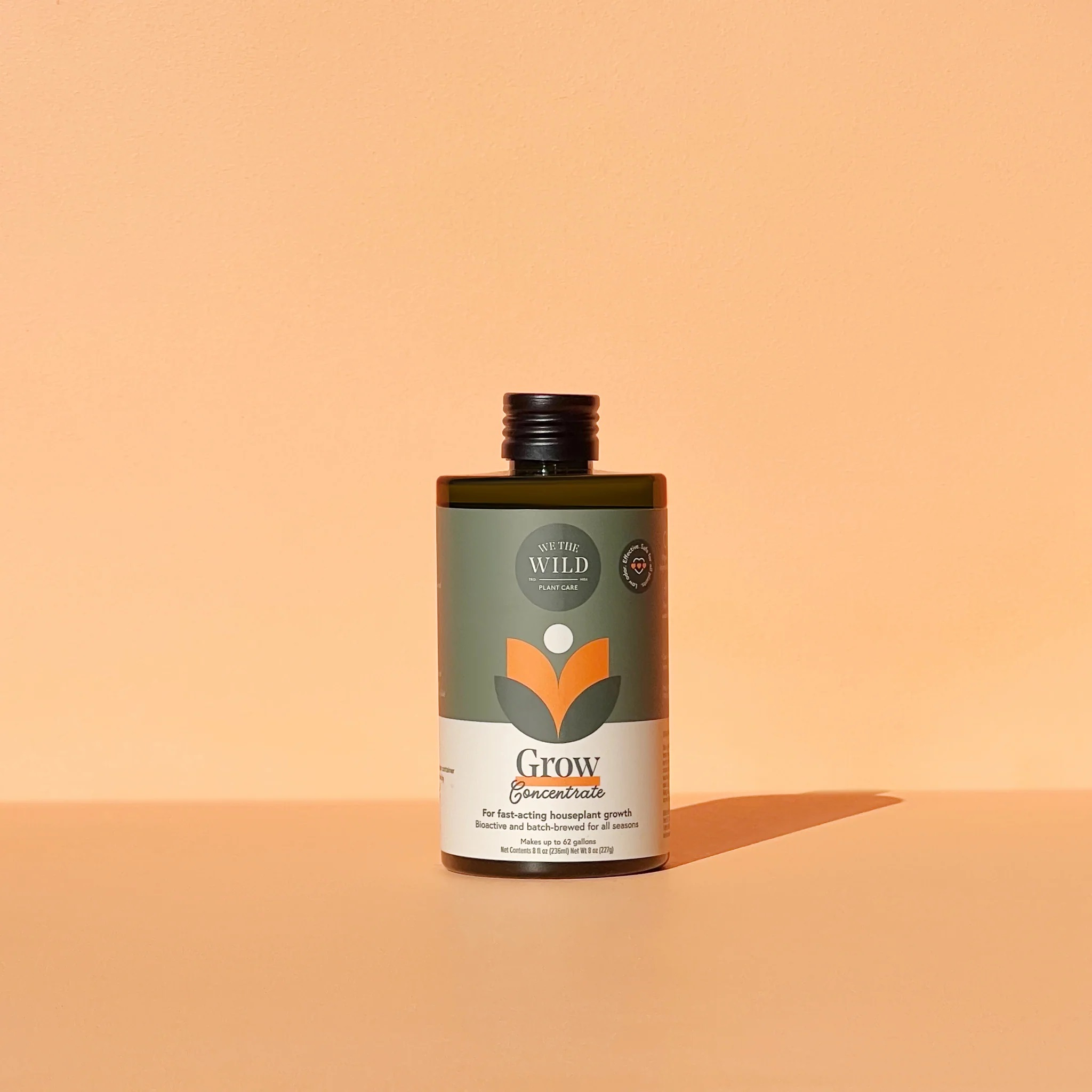 We The Wild Houseplant Care Essential Kit